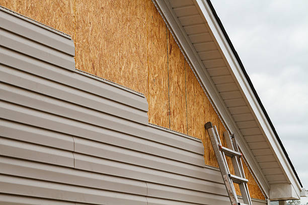 Professional Storm Damage Siding Repair technician working in Flat Rock, NC